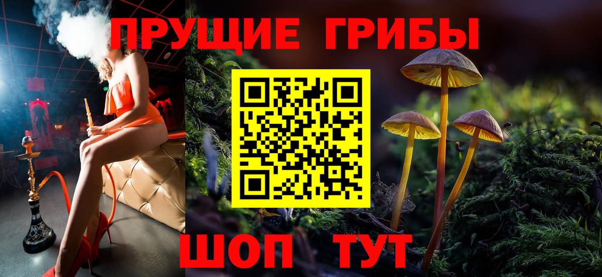 Галлюциногенные грибы прущие грибы Горячий Ключ