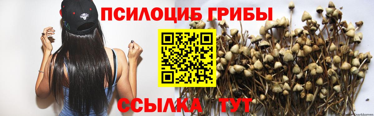 Галлюциногенные грибы Magic Shrooms  Псилоцибиновые грибы MAGIC MUSHROOMS  Горячий Ключ  Вход с VPN 